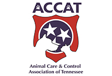 ACCAT